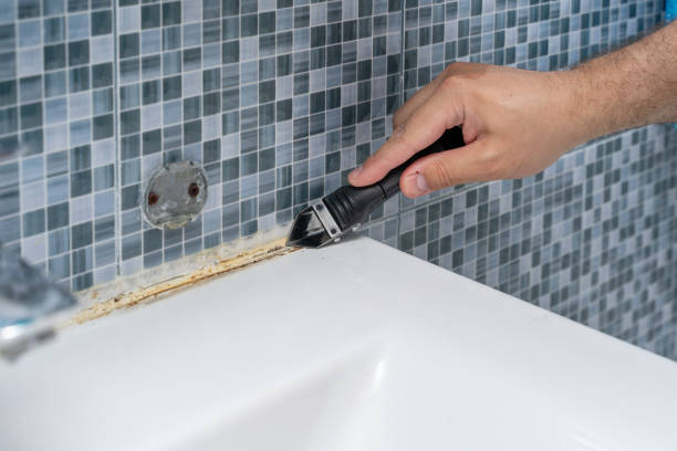 Best Bathroom Mold Remediation in Carnation, WA
